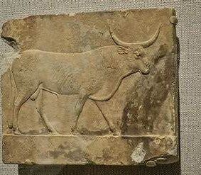 رمزگشایی نشانه گاو-علامت گاو شاخ دار در گنج و دفینه یابی
