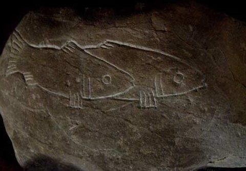 کارشناسی نماد ماهی در دفینه یابی – نماد ماهی در گنج یابی