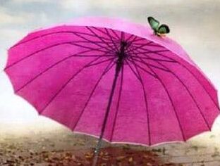تعبیر خواب چتر گرفتن بدون بارش باران – تعبیر باز نکردن چتر در خواب